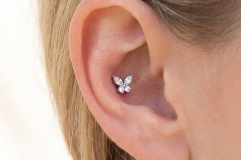 Piercing Conch Mariposa