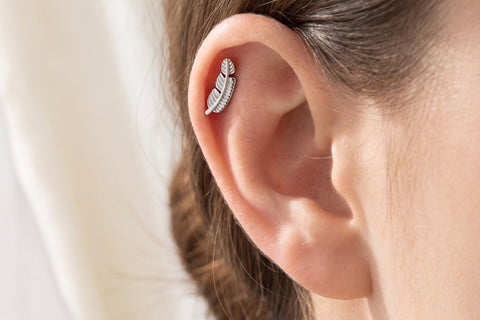 Piercing Pluma
