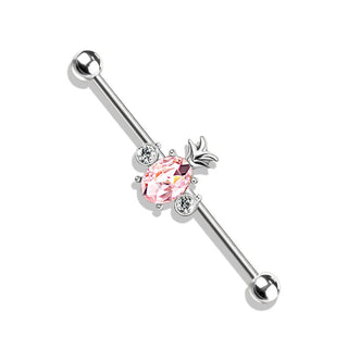 Barbell Industrial Circonita Piña