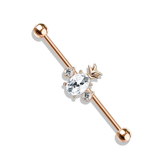 Barbell Industrial Circonita Piña