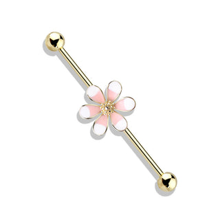 Barbell Industrial Flor de Dos Tonos