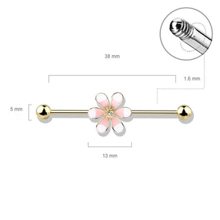 Barbell Industrial Flor de Dos Tonos