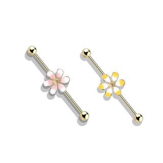 Barbell Industrial Flor de Dos Tonos