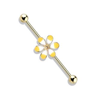 Barbell Industrial Flor de Dos Tonos