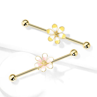 Barbell Industrial Flor de Dos Tonos