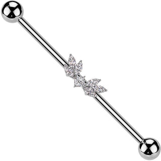 Barbell Industrial alas circonitas