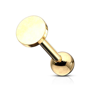 Barbell Círcilo plano