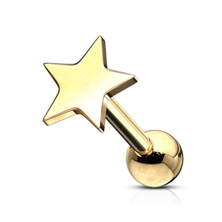 Barbell Estrella Plana