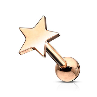 Barbell Estrella Plana