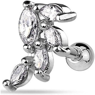 Barbell vid Circonita Plata
