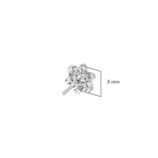 Titanio Top Flor Circonita Plata Push In