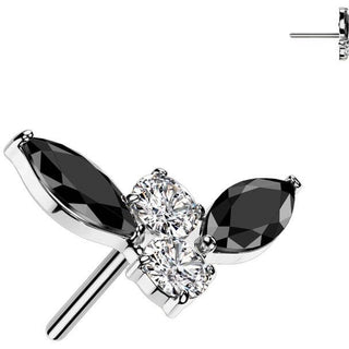 Titanio Top escarabajo Push In