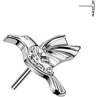 Titanio Top colibrí circonita Push In