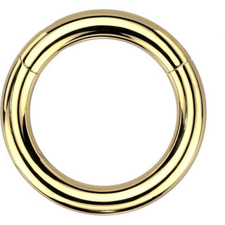 Anillo Grueso Segment