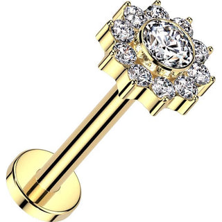 Titanio Flor de circonita Rosca interna Labret