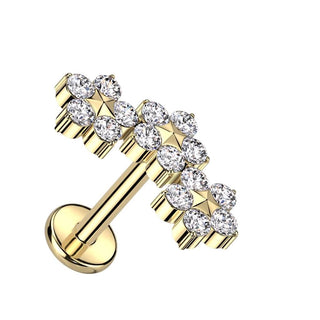 Titanio Flores circonita Rosca interna Labret