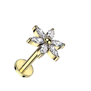 Titanio Flor Zirconita Rosca interna Labret