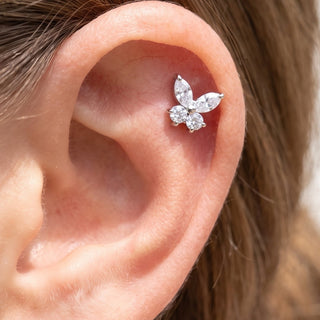 Butterfly Helix Piercings – selection on linen