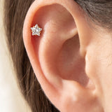 Piercing Estrella