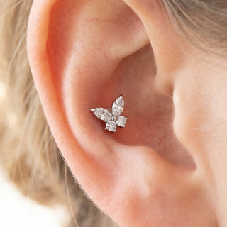 Butterfly Piercings – selection on linen