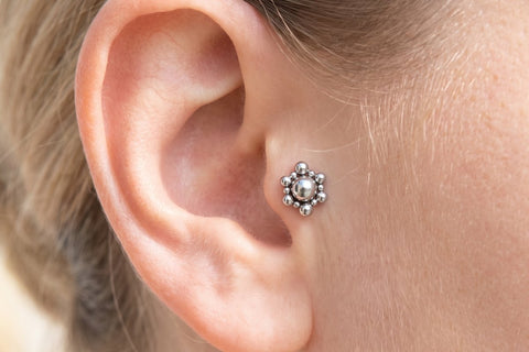 Piercing tragus labret