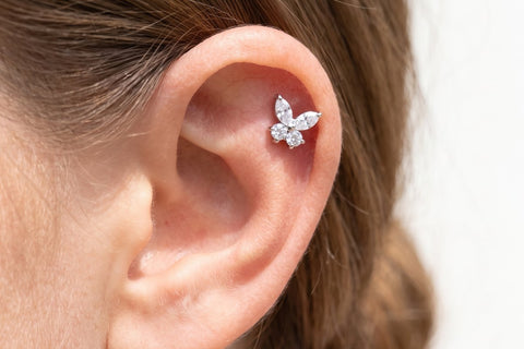 Piercing Helix Mariposa