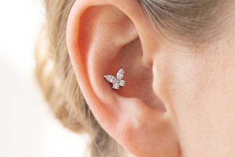 Piercing Mariposa