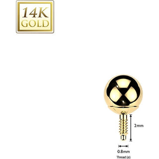 Solid Gold 14 Carat Labret Full Round Sphere Internally Threaded