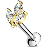 Piercing Plantas