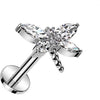 Labret dragonfly zirconia Push-In