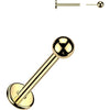 Titanium Labret Ball Push-In