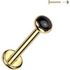 Titanium Labret Bezel Set Natural Stone Push-In