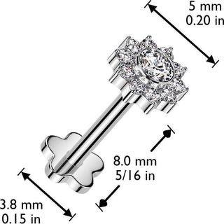 Titanio Flor de circonita  Push In Labret