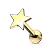 Barbell Flat Star