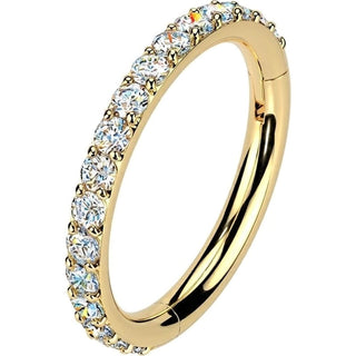 Titanium Ring moissanite Segment
