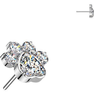 Titanium Top top paw zirconia Push-In