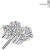 Titanium top squares zirconia Push-In