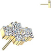 Titanium top squares zirconia Push-In