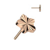Titanium Top Top Star Diamond Cut Push-In