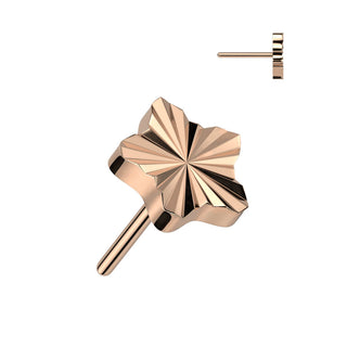 Titanium Top Top Star Diamond Cut Push-In