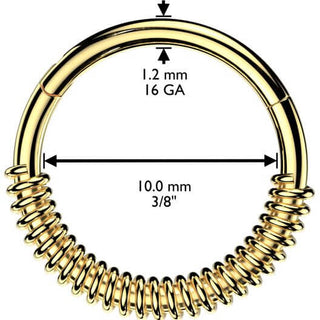 Anillo Bobina de resorte  Segment