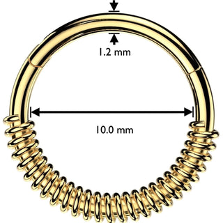 Ring Spring Coil Segment