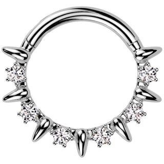 Ring zirconias Segment