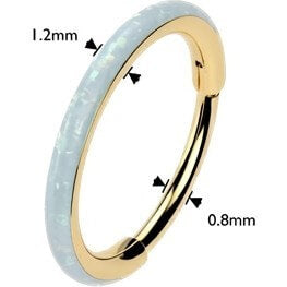 Ring opal Segment