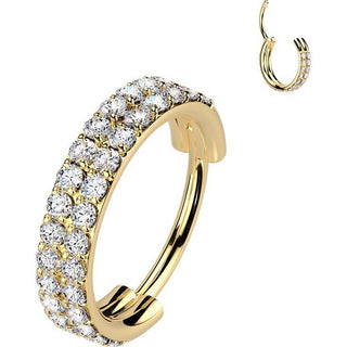Titanium Ring two lines zirconia Segment