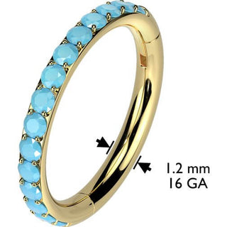 Titanium Ring Turquoise Segment