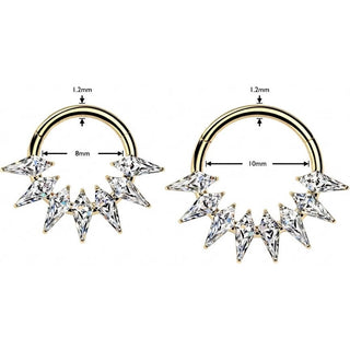 Titanium Ring spikes zirconia Segment
