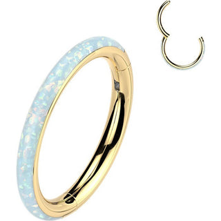 Titanium Ring opal Segment
