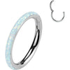 Titanium Ring opal Segment