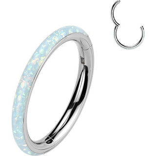 Titanium Ring opal Segment